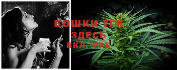 индика Аркадак