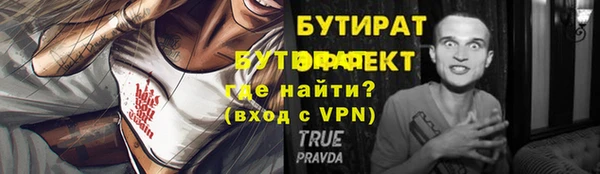 индика Аркадак