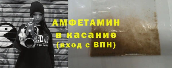 индика Аркадак
