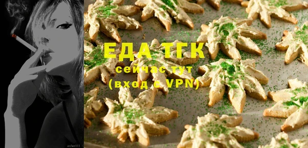 индика Аркадак