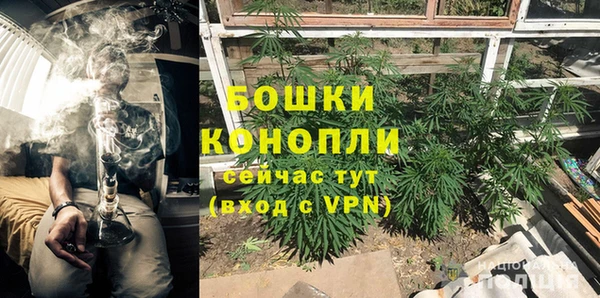 ГАЛЛЮЦИНОГЕННЫЕ ГРИБЫ Армянск
