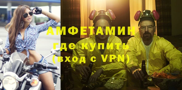 индика Аркадак