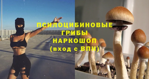 прущий лед Михайловск