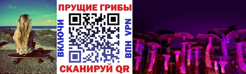 где продают   Солигалич  MEGA рабочий сайт  Галлюциногенные грибы Psilocybe 